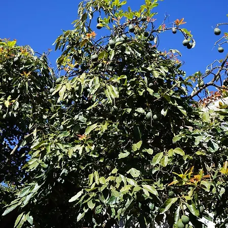 Holiday home Montsant