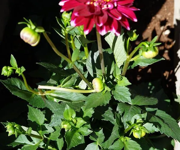 Holiday home Montsant