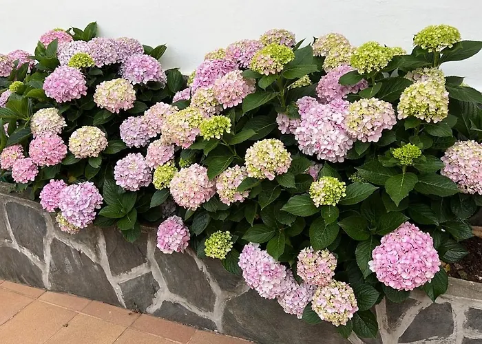 Semesterbostad Montsant Teror