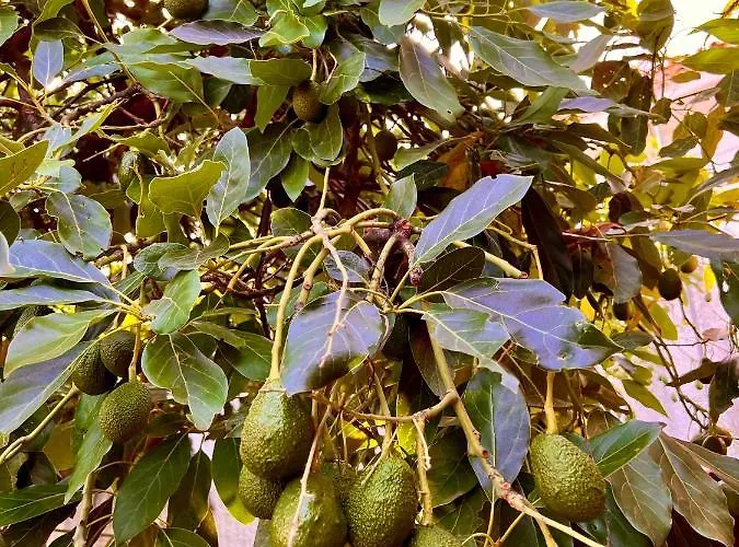 Semesterbostad Montsant *