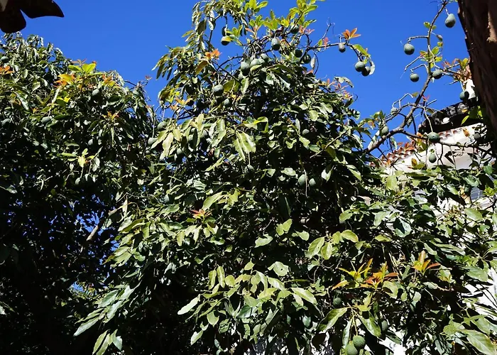 Semesterbostad Montsant